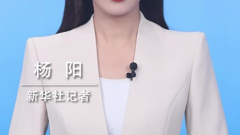 信息化建设招标文件模板：构建高效招标流程的关键**